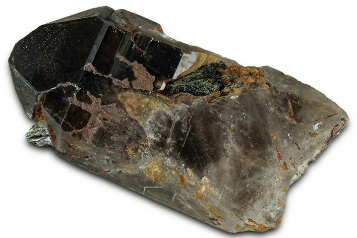 Smoky Quartz Crystal with Aegirine Inclusion - Malawi #330864